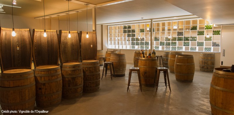 Vignoble de l'Orpailleur