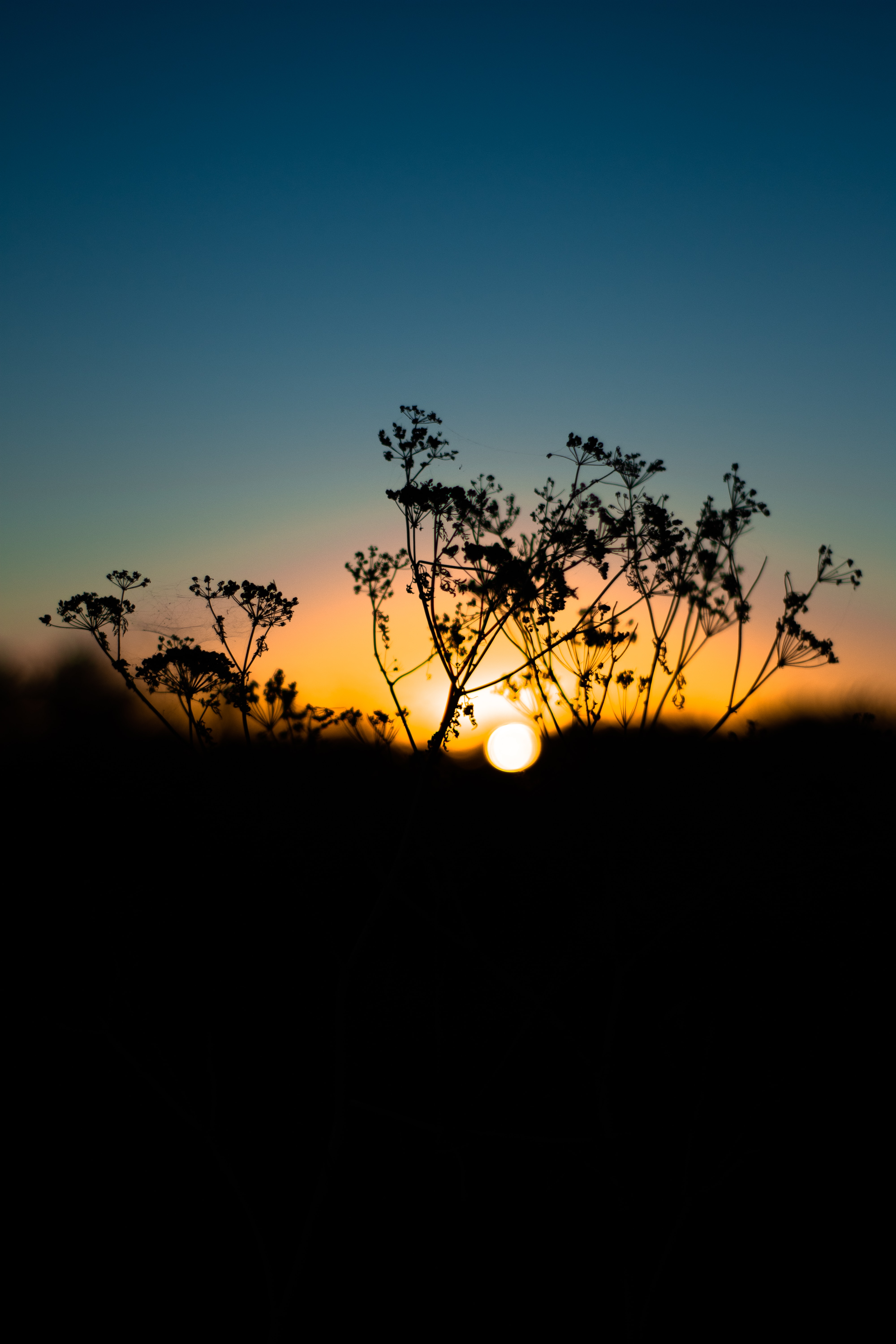 couche-soleil-nature