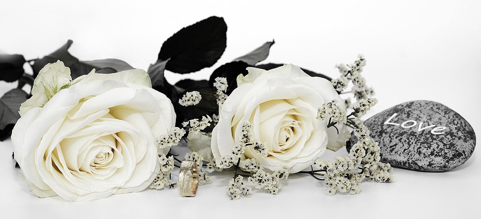 roses-blanche-mariage