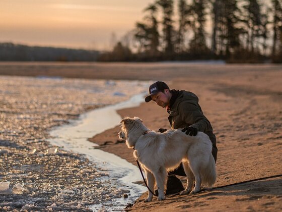 Auberge du Lac Taureau - Lanaudière - Escapade avec toutou
