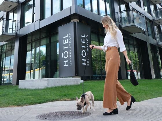 Hôtel Griffintown - Montréal - Doggy getaway