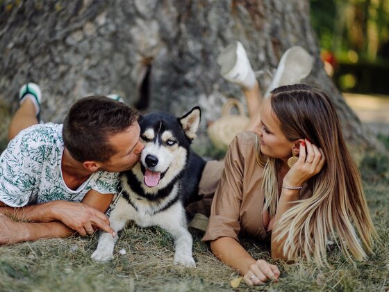 Hôtel Levesque - Bas-Saint-Laurent - Rivière-du-Loup - Escapade avec Toutou