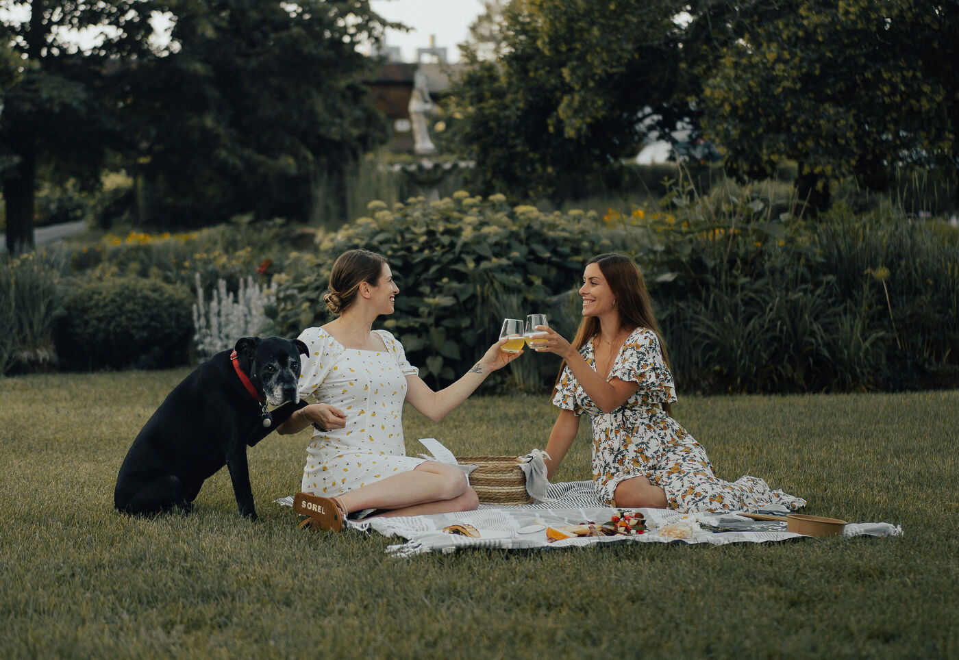 Auberge des Gallant - Montérégie - chien