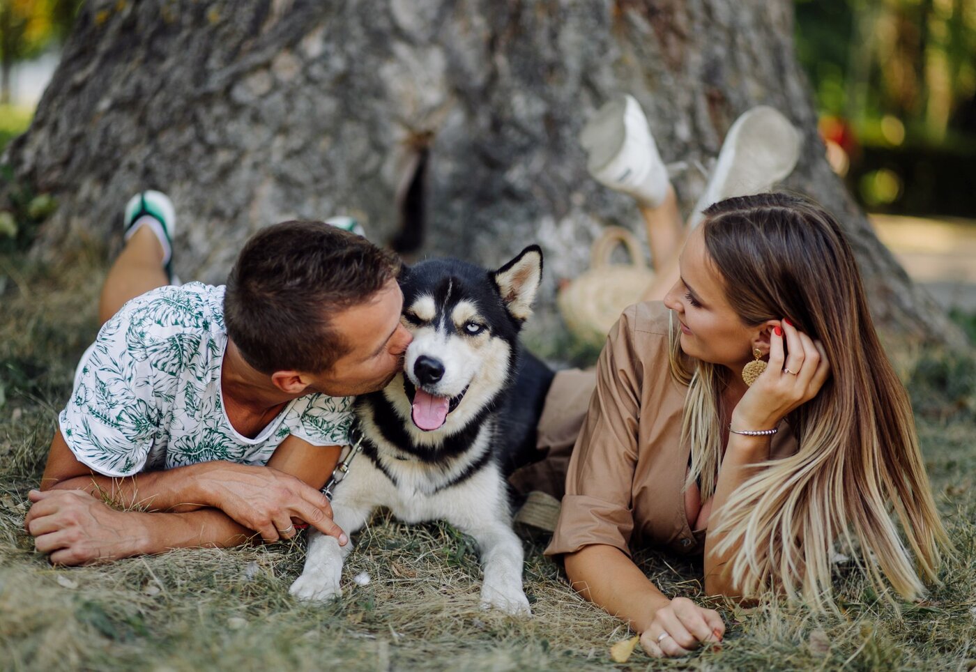 Hôtel Levesque - Bas-Saint-Laurent - Rivière-du-Loup - Escapade avec Toutou