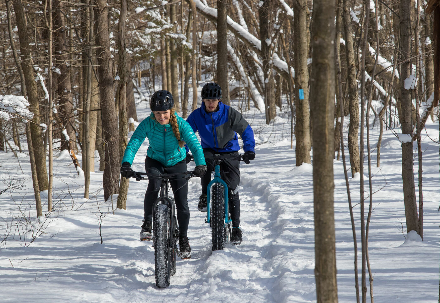 vélo Fatbike à l'Hôtel Montfort Nicolet