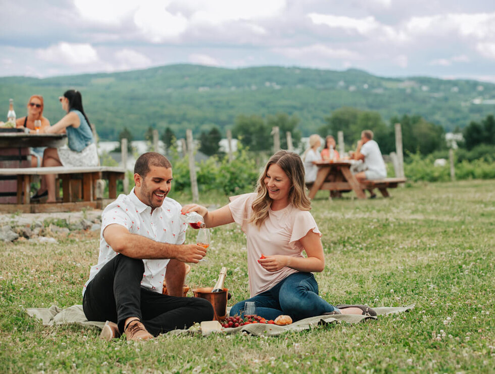 Cep d'Argent vineyard