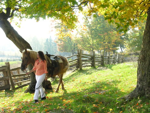 Le Baluchon Éco-villégiature Équitation