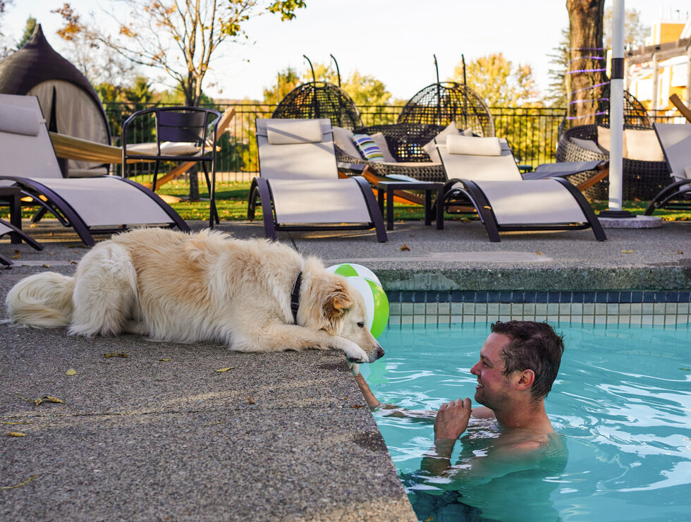 Estrimont - Eastern Townships - travel with your dog