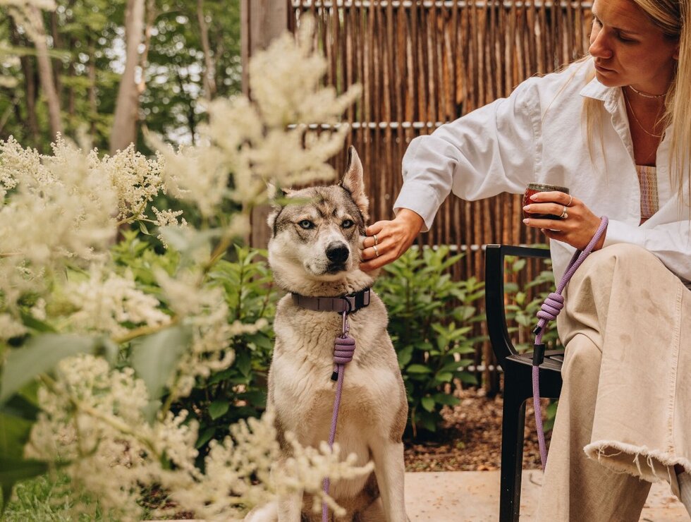 Hôtel-Musée Premières Nations Région de Québec voyagez avec votre chien