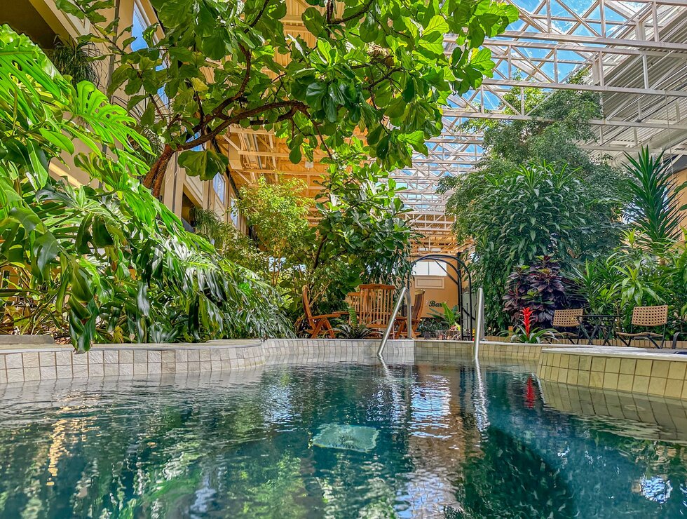 Hôtel l'Oiselière Montmagny