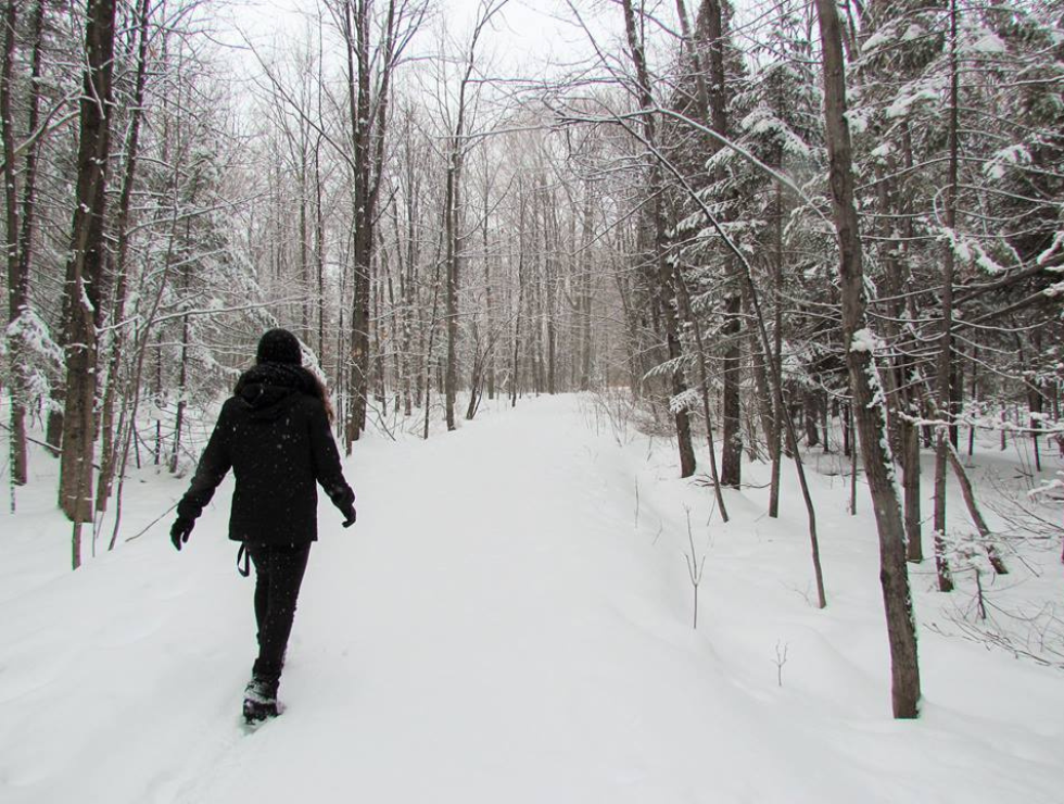 Parc écologique Godefroy