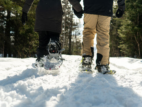 Hôtel du Domaine Chaudière-Appalaches winter activities