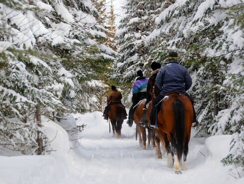 Le Petit Manoir du Casino - Hôtel-Pavillons-Spa Charlevoix équitation hivernale