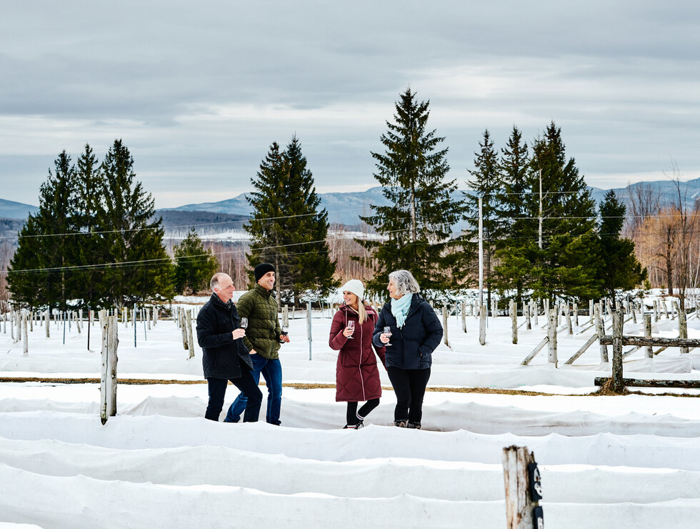 La Route des vins de Brome-Missisquoi