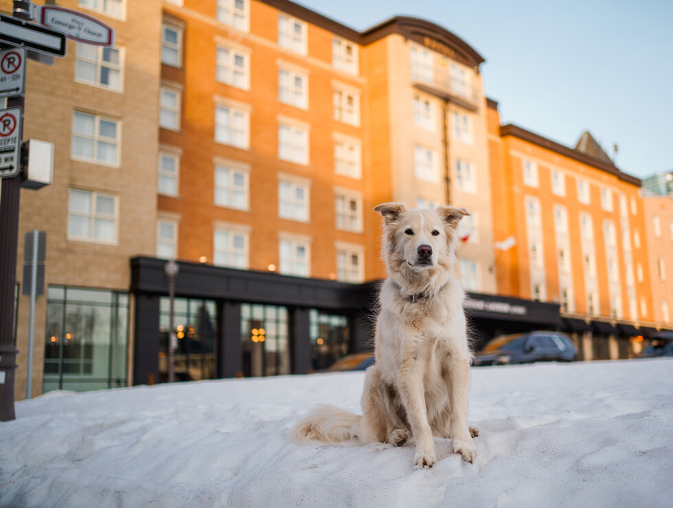 Hôtel Château Laurier Québec (Ville de Québec)