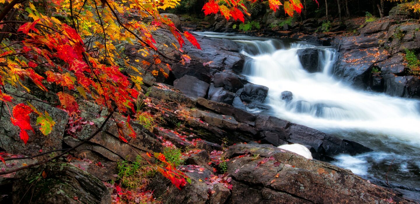 Automne magique