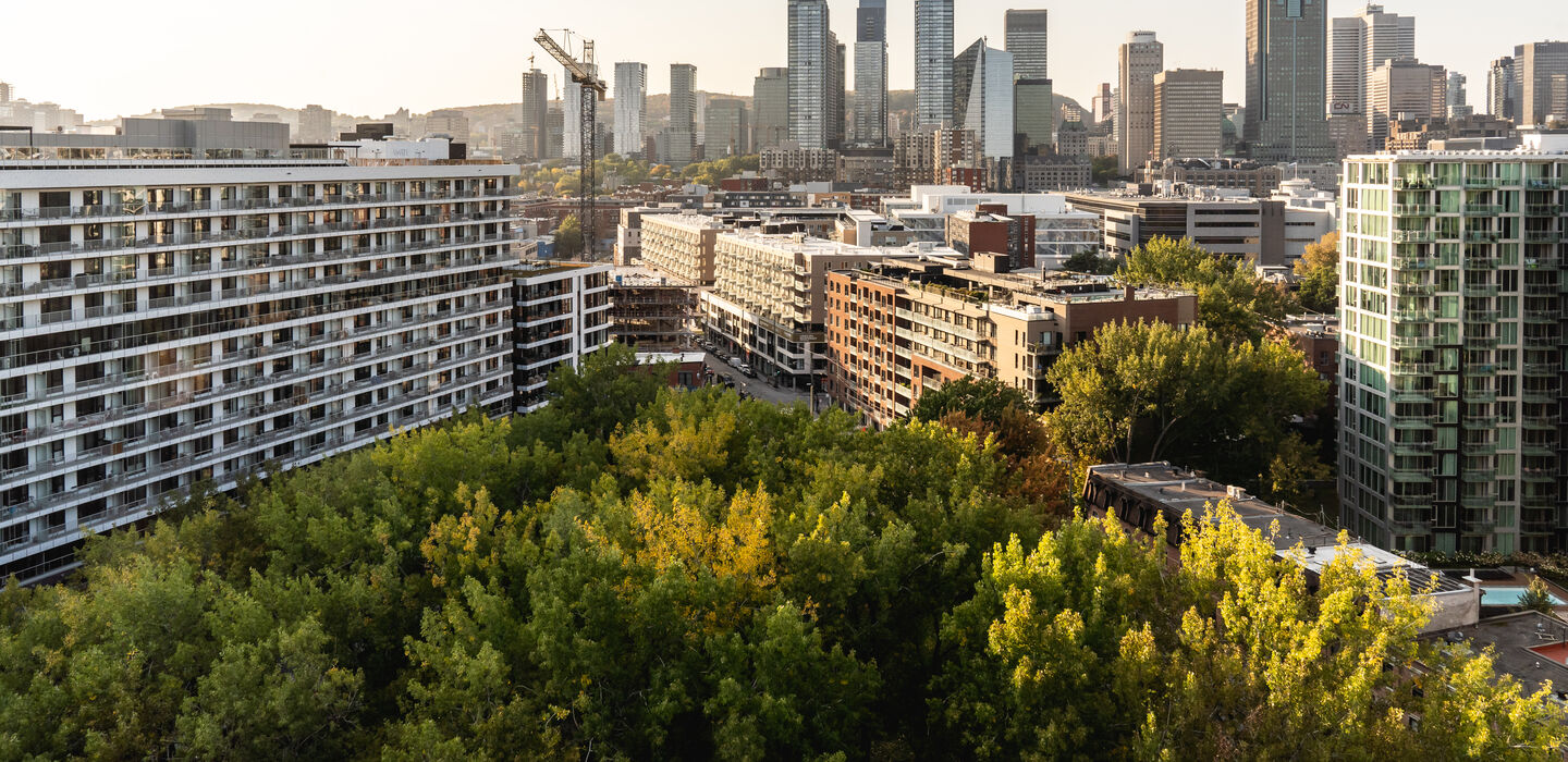 Griffintown Hotel Montreal