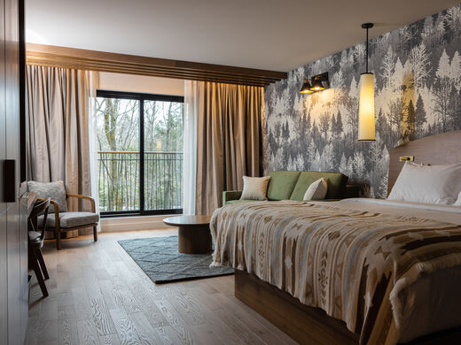 Comfort Room with Sofa Bed (King)